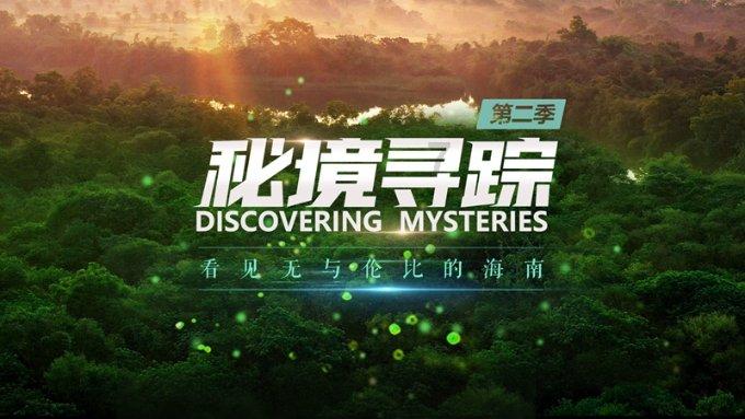 黄健翔：什么时候换帅？等世界杯预选赛也完蛋了以后？